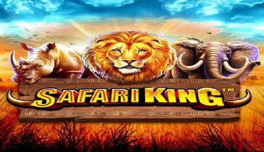 SafariKing